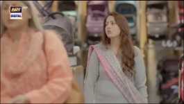 Aapa Shameem - Episode 51 - 26th January 2025